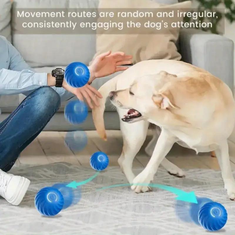 🐾 Pelota Interactiva Para Tu  Mascota 🐾