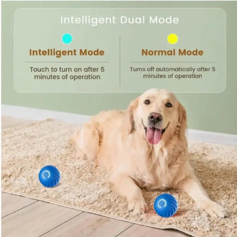 🐾 Pelota Interactiva Para Tu  Mascota 🐾